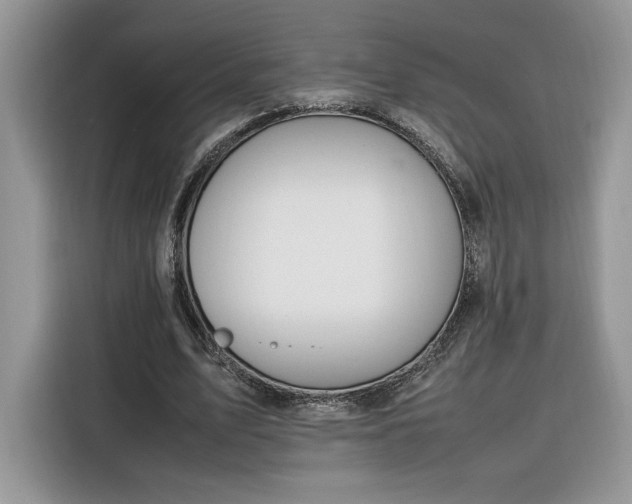 X0000116290583200912071212