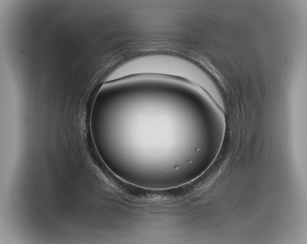 X0000116290585200912071212