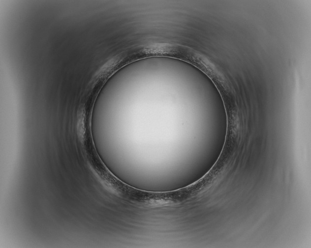 X0000116290586200912071212