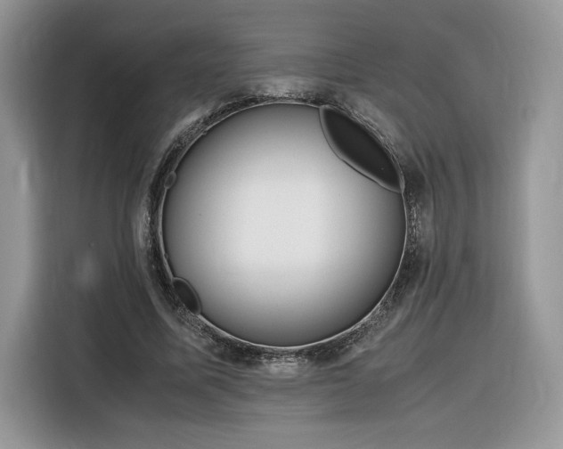 X0000116290587200912071212