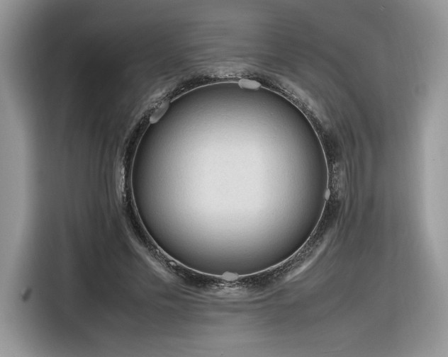 X0000116290589200912071212