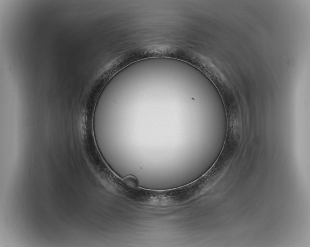 X0000116290591200912071212