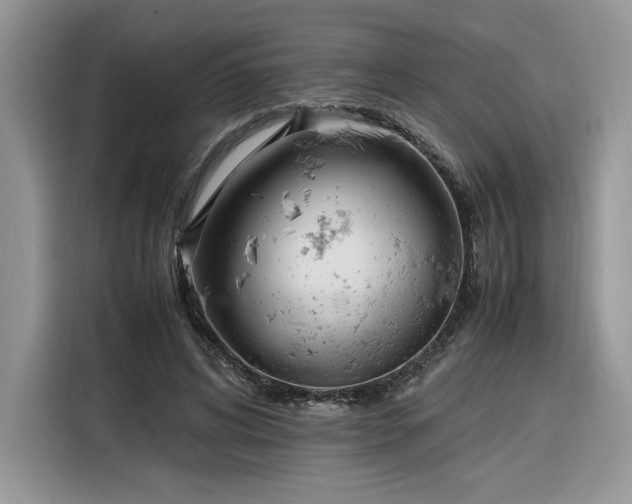 X0000116290592200912071212