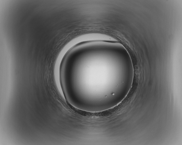 X0000116290593200912071212