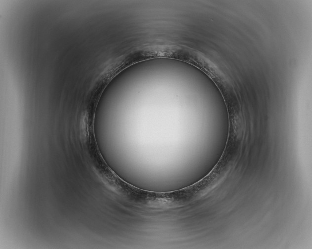 X0000116290594200912071212