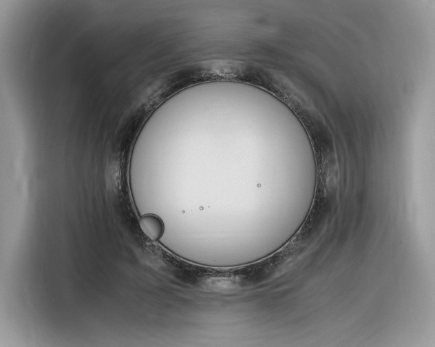 X0000116290595200912071212