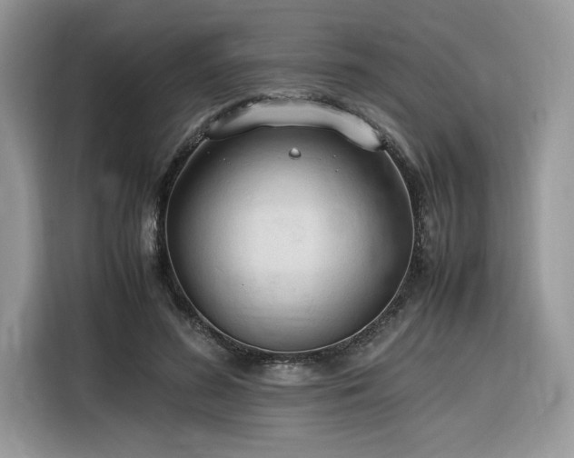 X0000116290596200912071212