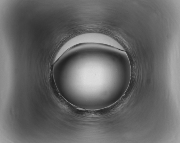 X0000116290597200912071212