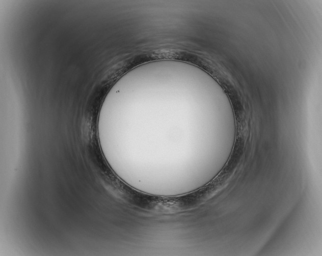 X0000116290599200912071212