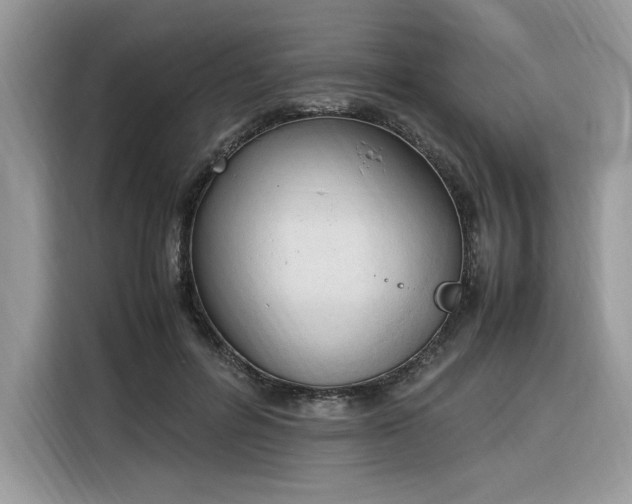 X0000116290600200912071212