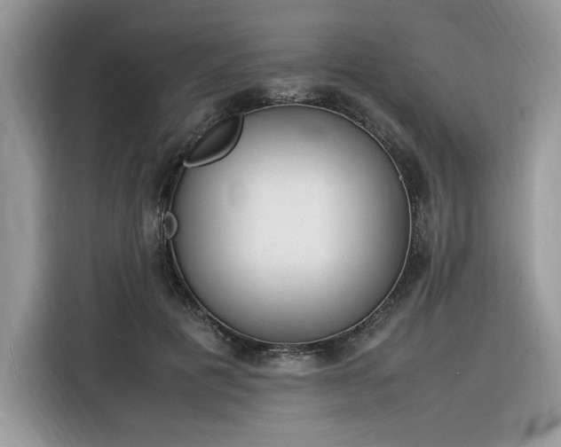 X0000116290601200912071212