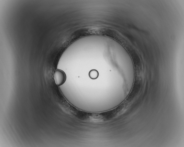 X0000116290603200912071212