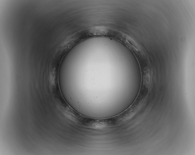 X0000116290604200912071212