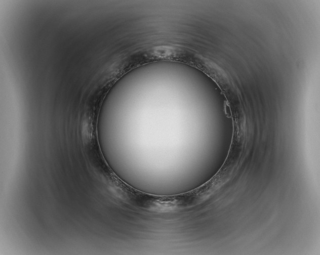 X0000116290606200912071212