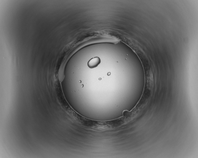 X0000116290608200912071212