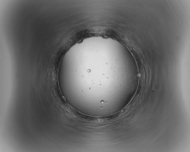 X0000116290609200912071212