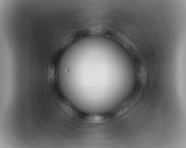 X0000116290610200912071212