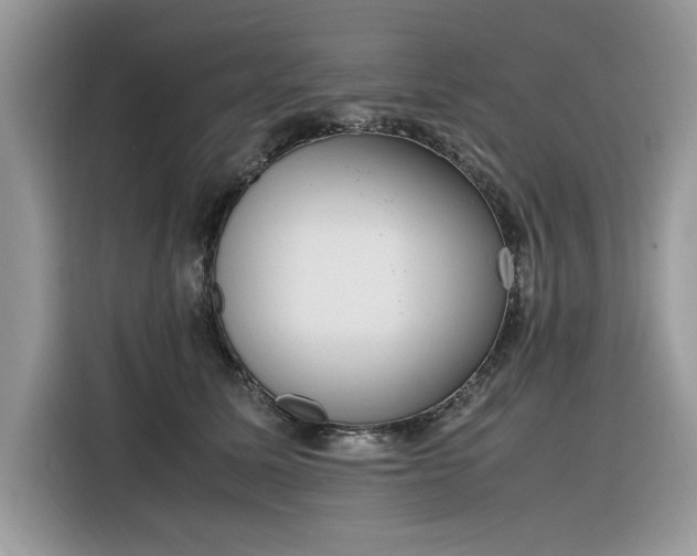 X0000116290611200912071212