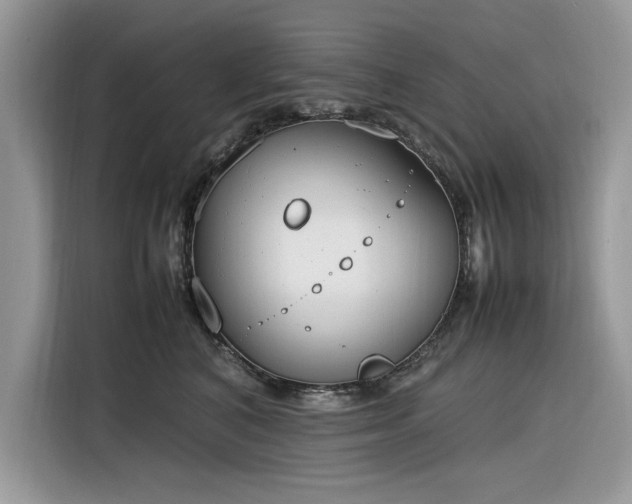 X0000116290616200912071212