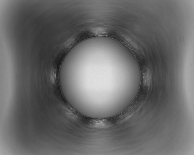 X0000116290618200912071212