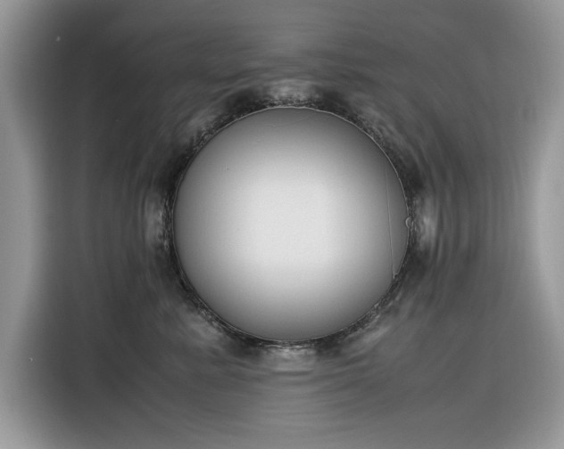 X0000116290619200912071212