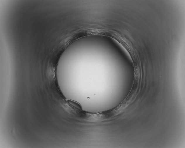 X0000116290621200912071212