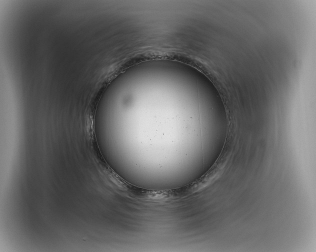 X0000116290624200912071212