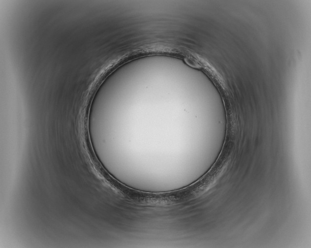 X0000116290625200912071211