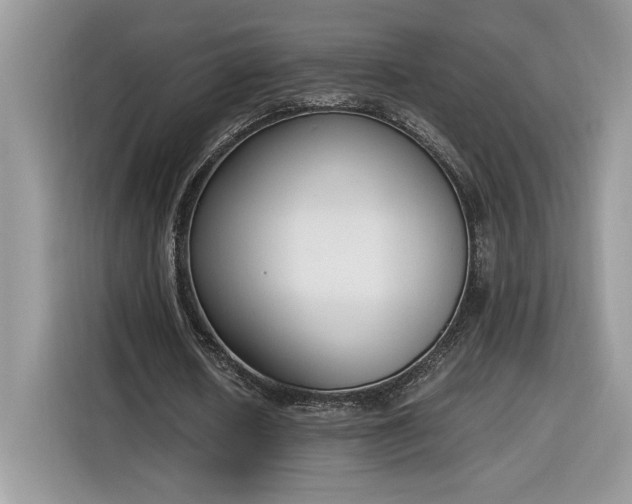 X0000116290626200912071211