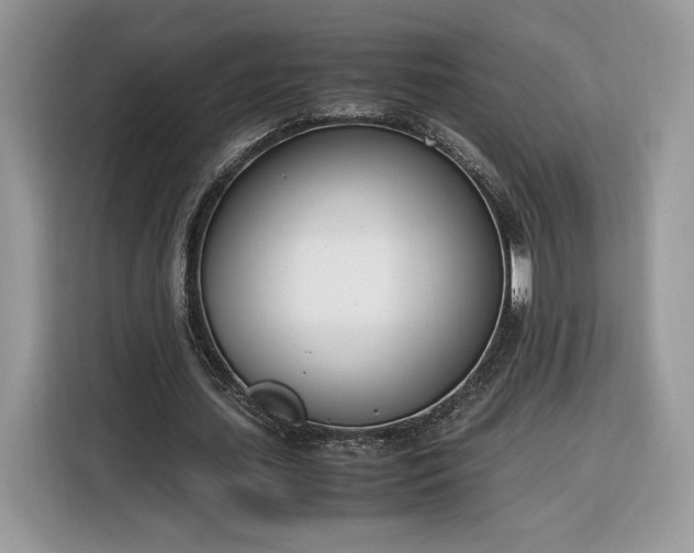 X0000116290627200912071211