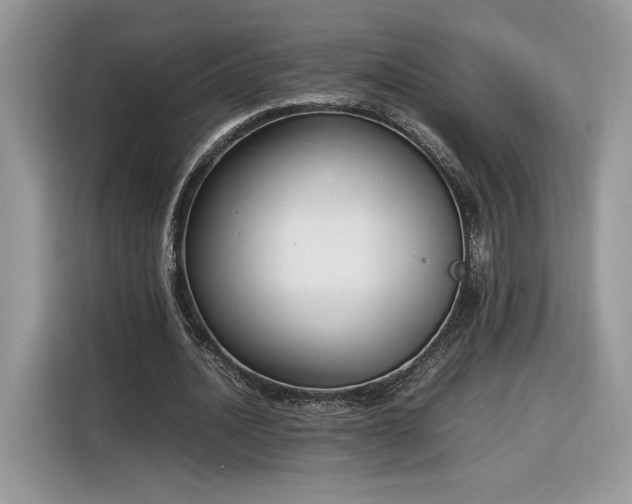 X0000116290628200912071211