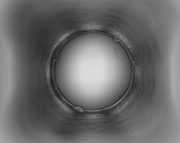 X0000116290629200912071211