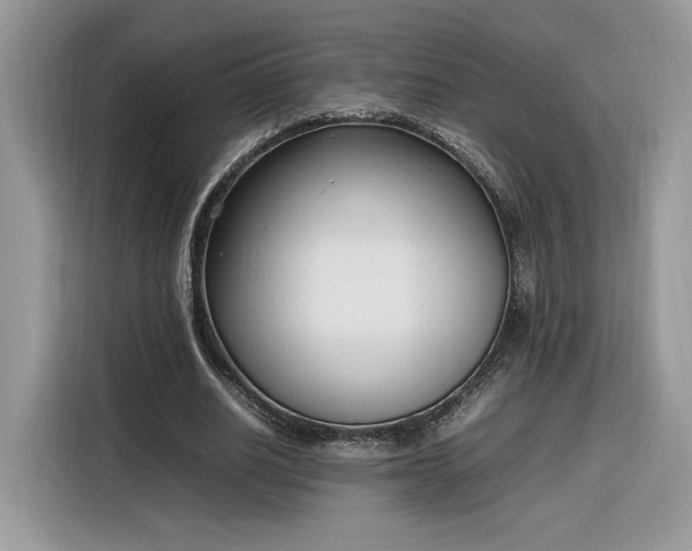 X0000116290630200912071211