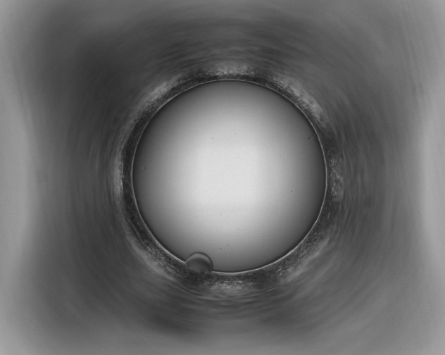 X0000116290631200912071211