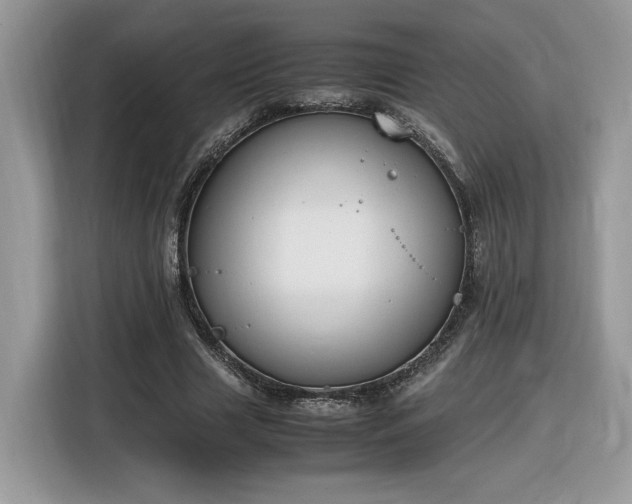 X0000116290633200912071211