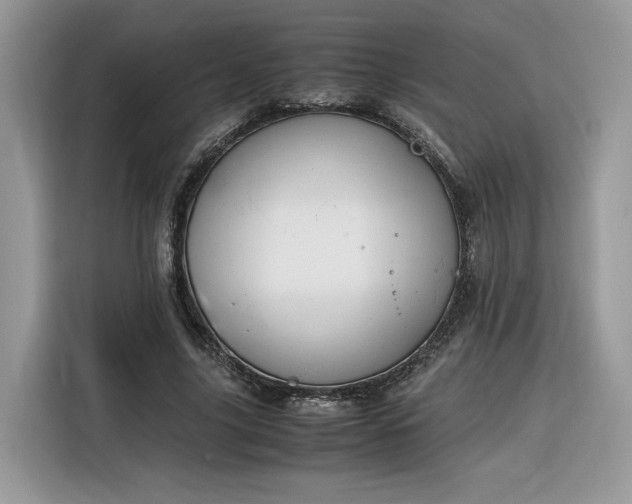 X0000116290635200912071211