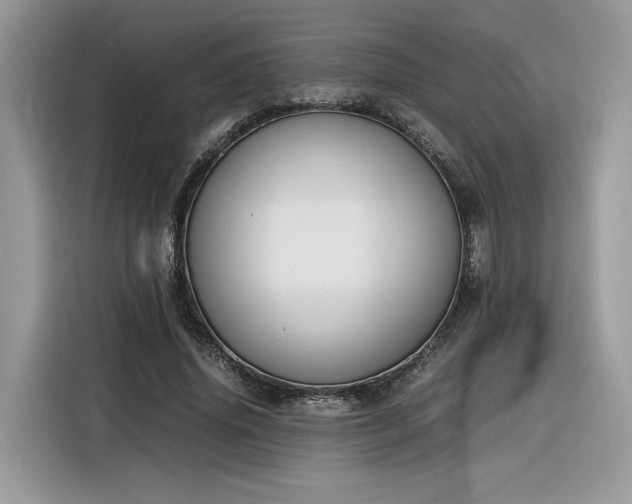 X0000116290636200912071211