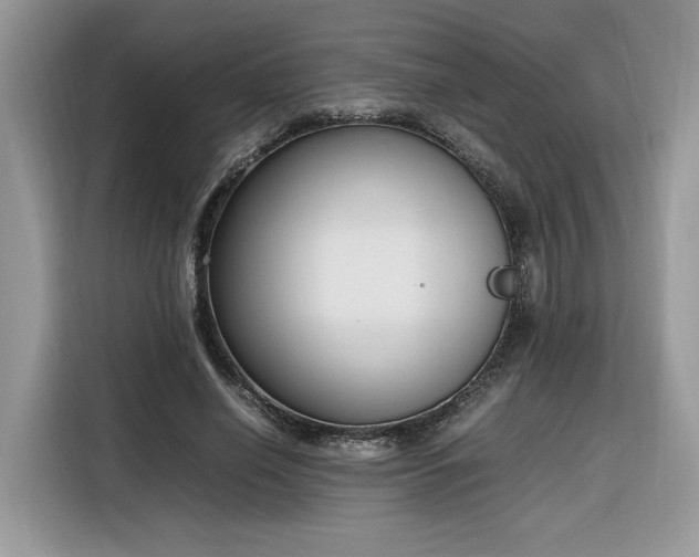 X0000116290638200912071211