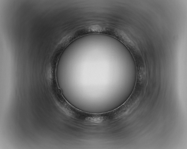 X0000116290639200912071211