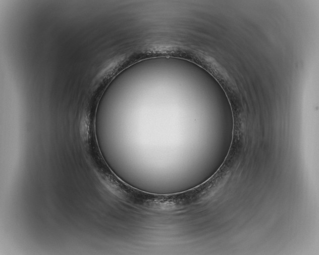 X0000116290640200912071211