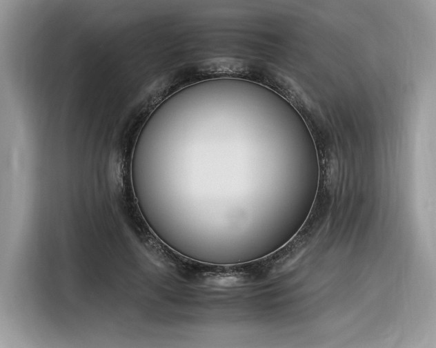 X0000116290643200912071212