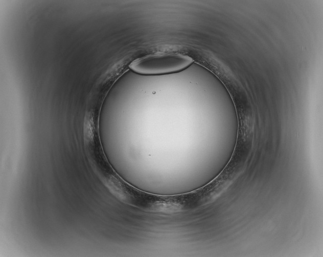 X0000116290644200912071212