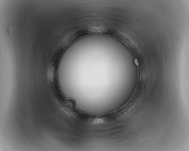 X0000116290647200912071212