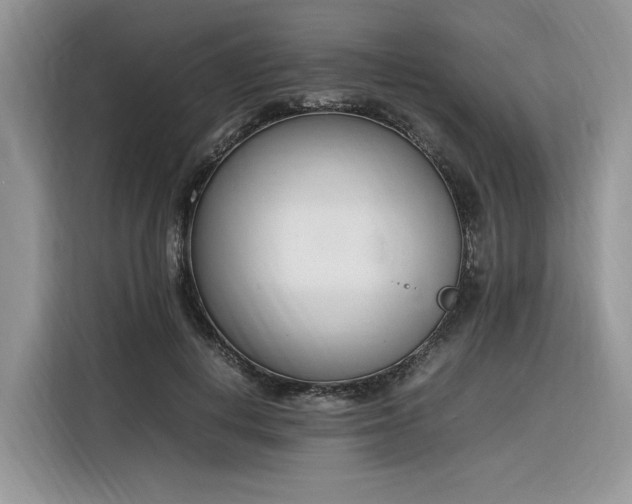 X0000116290648200912071212