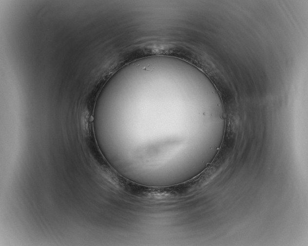 X0000116290650200912071212