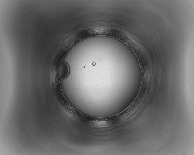 X0000116290651200912071212