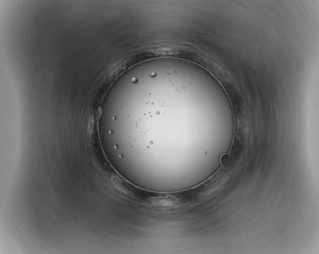 X0000116290652200912071212