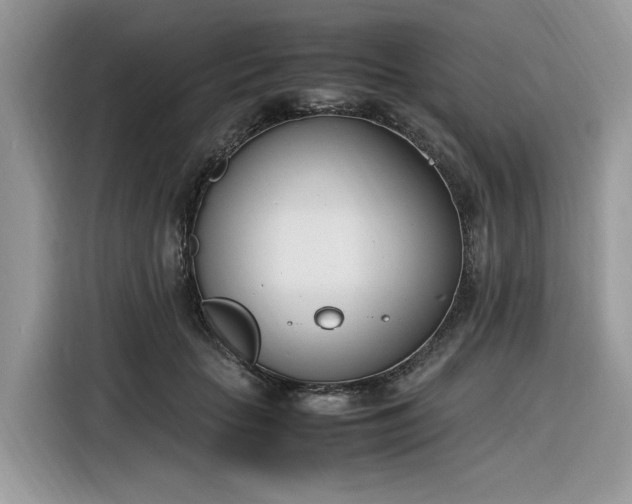 X0000116290653200912071212