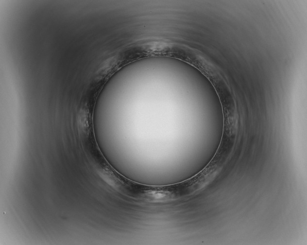 X0000116290654200912071212