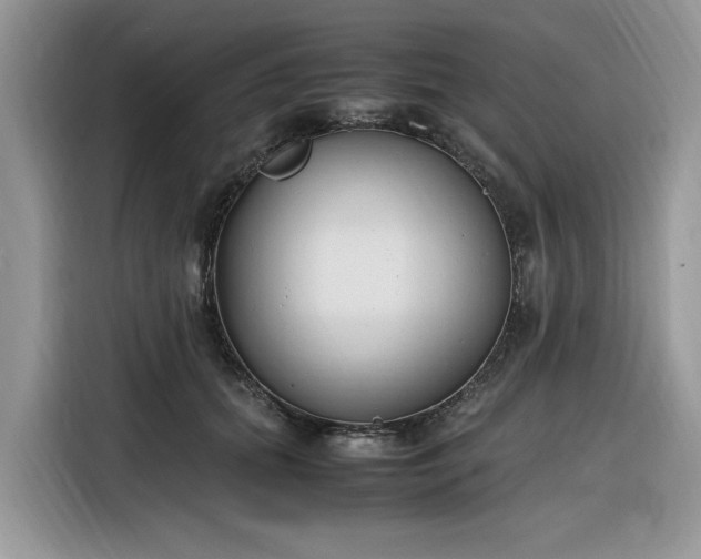 X0000116290655200912071212